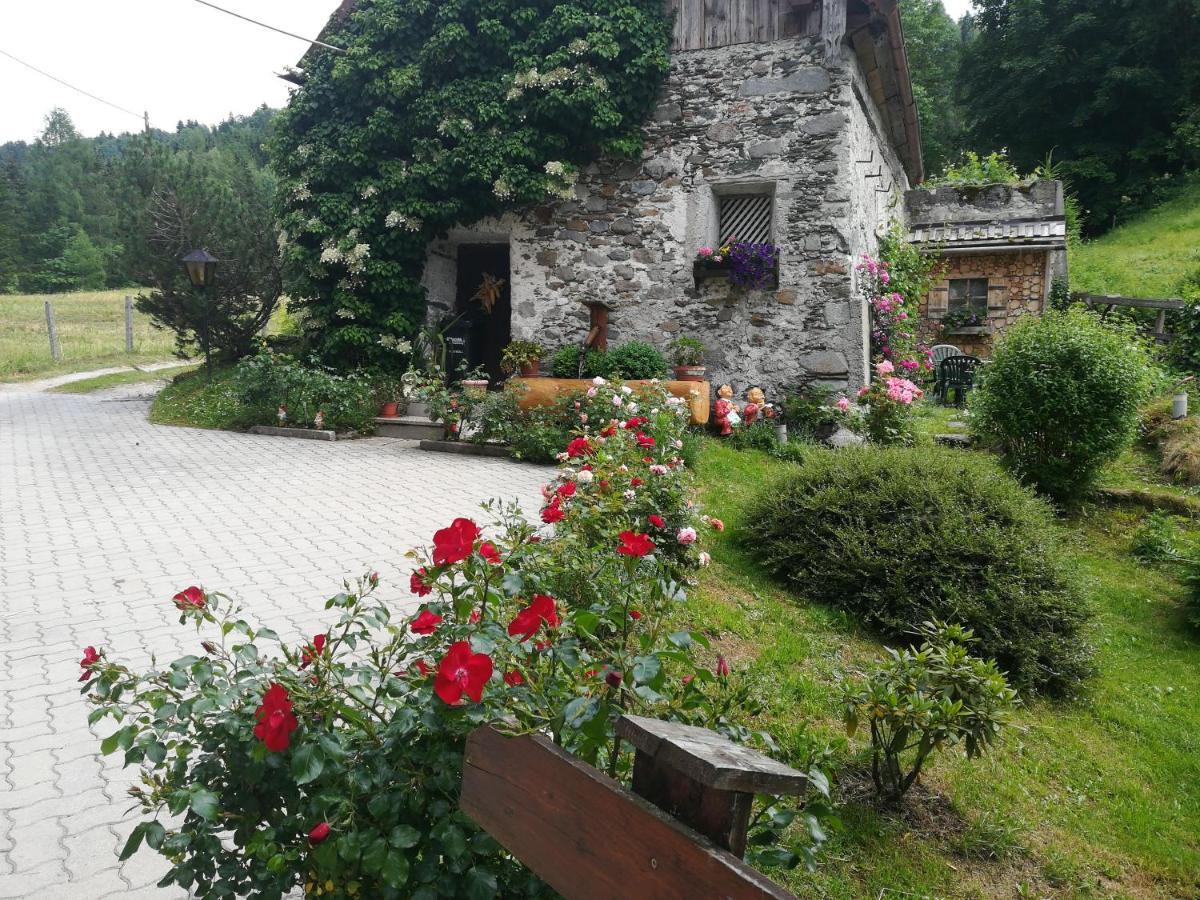 Muehlnerhof Familie Gruber Bed and Breakfast Aich  Eksteriør billede